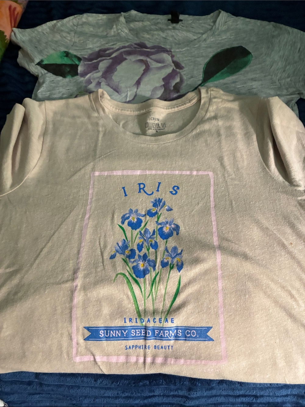 J. Crew Cream Tee with Blue Iris Graphic 2 shirts. Great deal